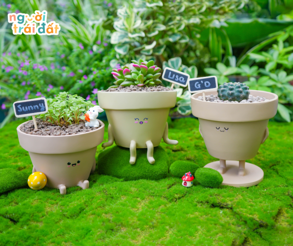 HỘI BẠN XANH LÁ - Hình ảnh 2