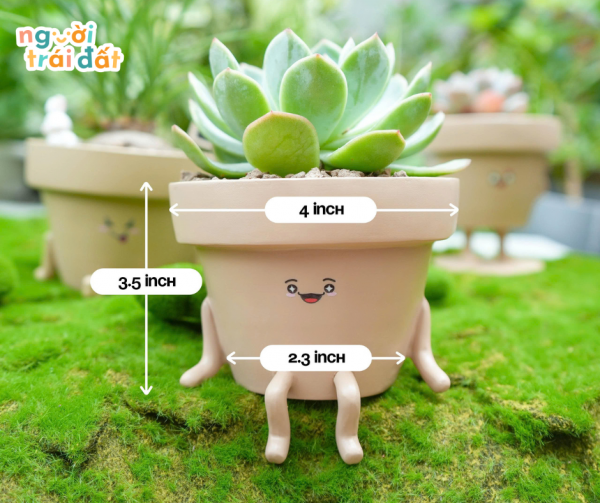HỘI BẠN XANH LÁ - Hình ảnh 6