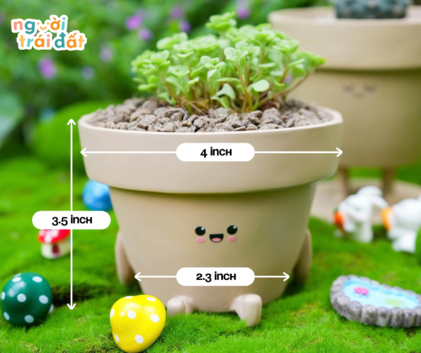 HỘI BẠN XANH LÁ - Hình ảnh 5